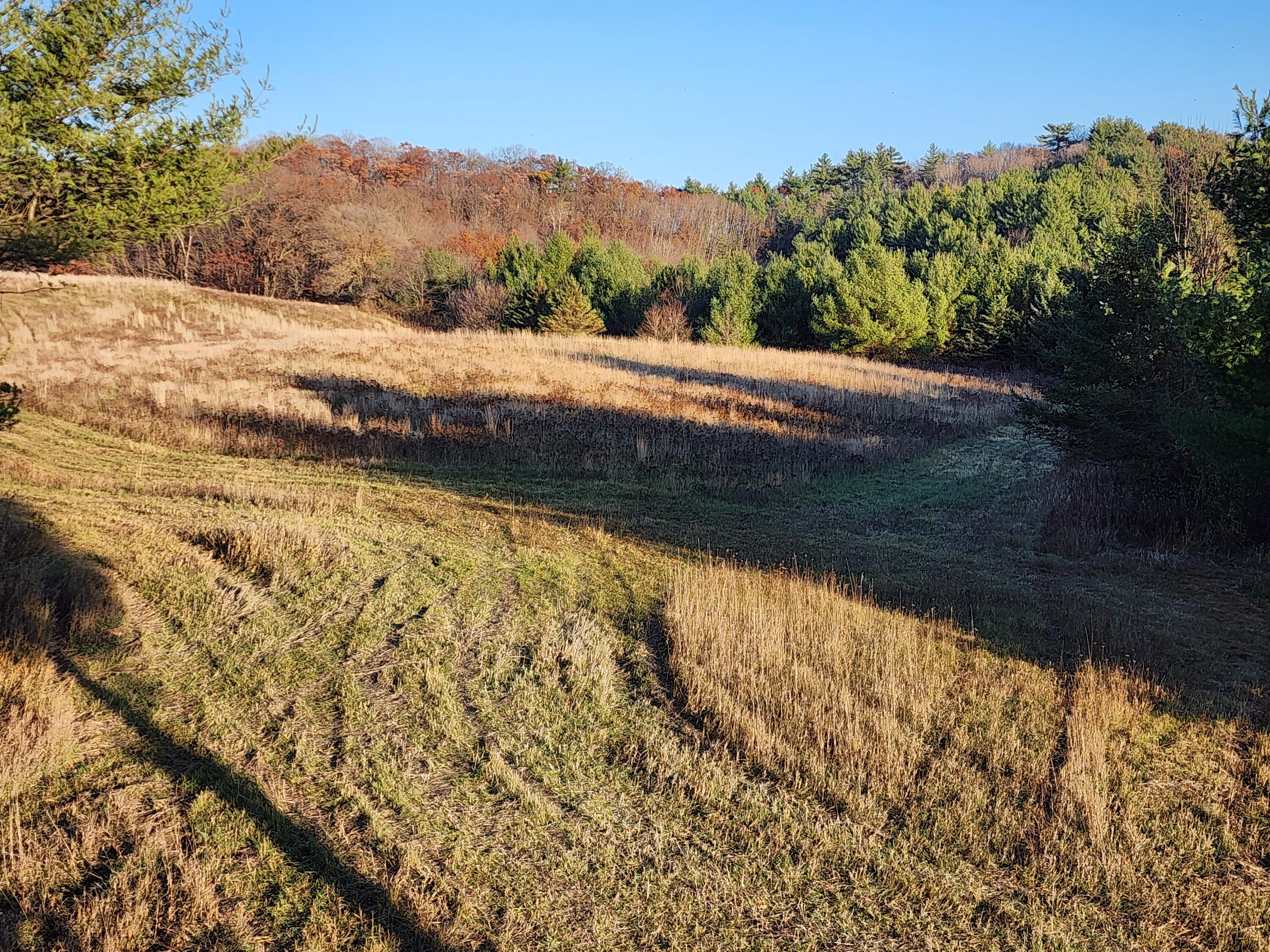 000 Drake Henrietta WI 53924 - Soules Creek 1929744 image11