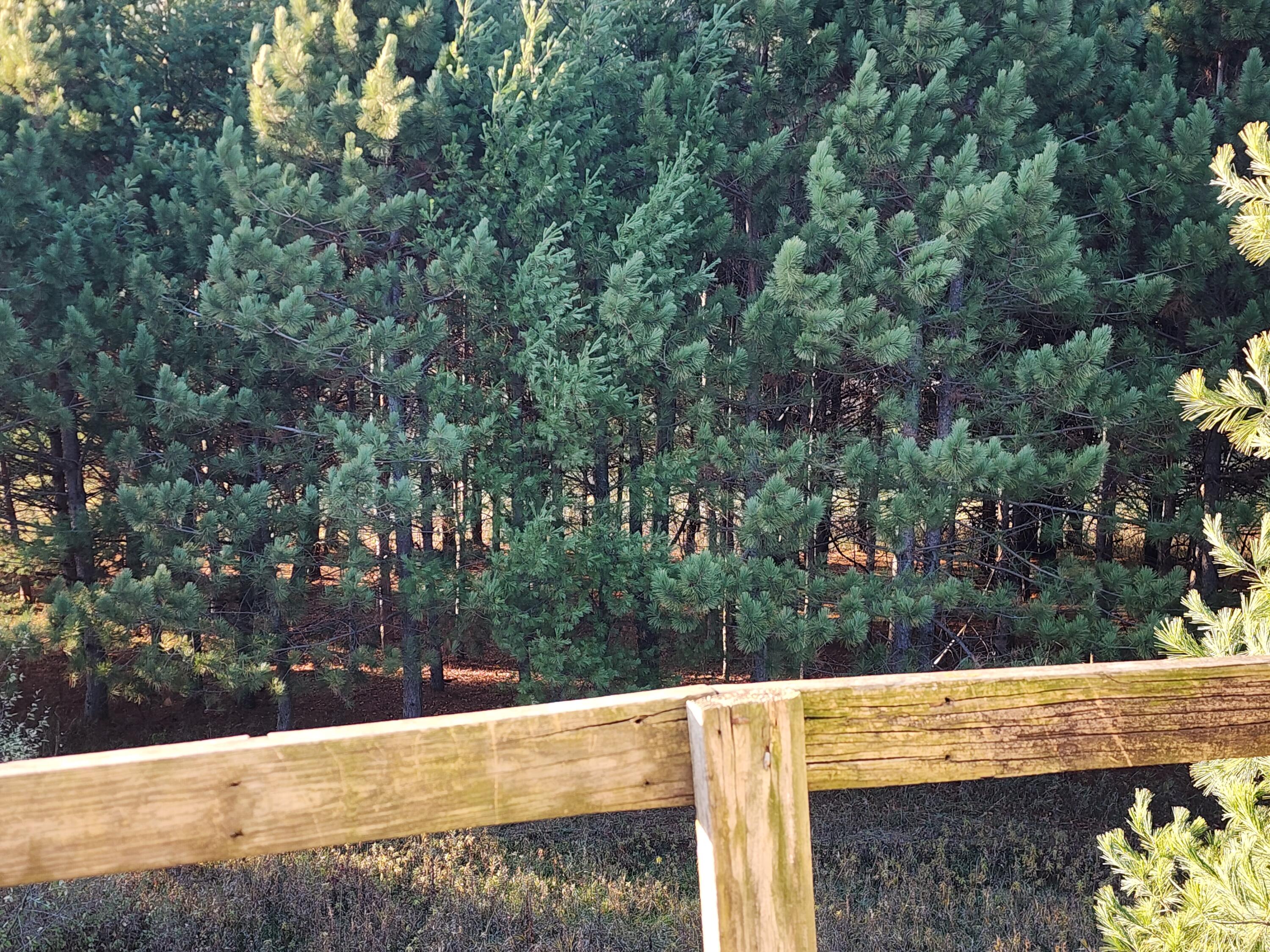 000 Drake Henrietta WI 53924 - Soules Creek 1929744 image12