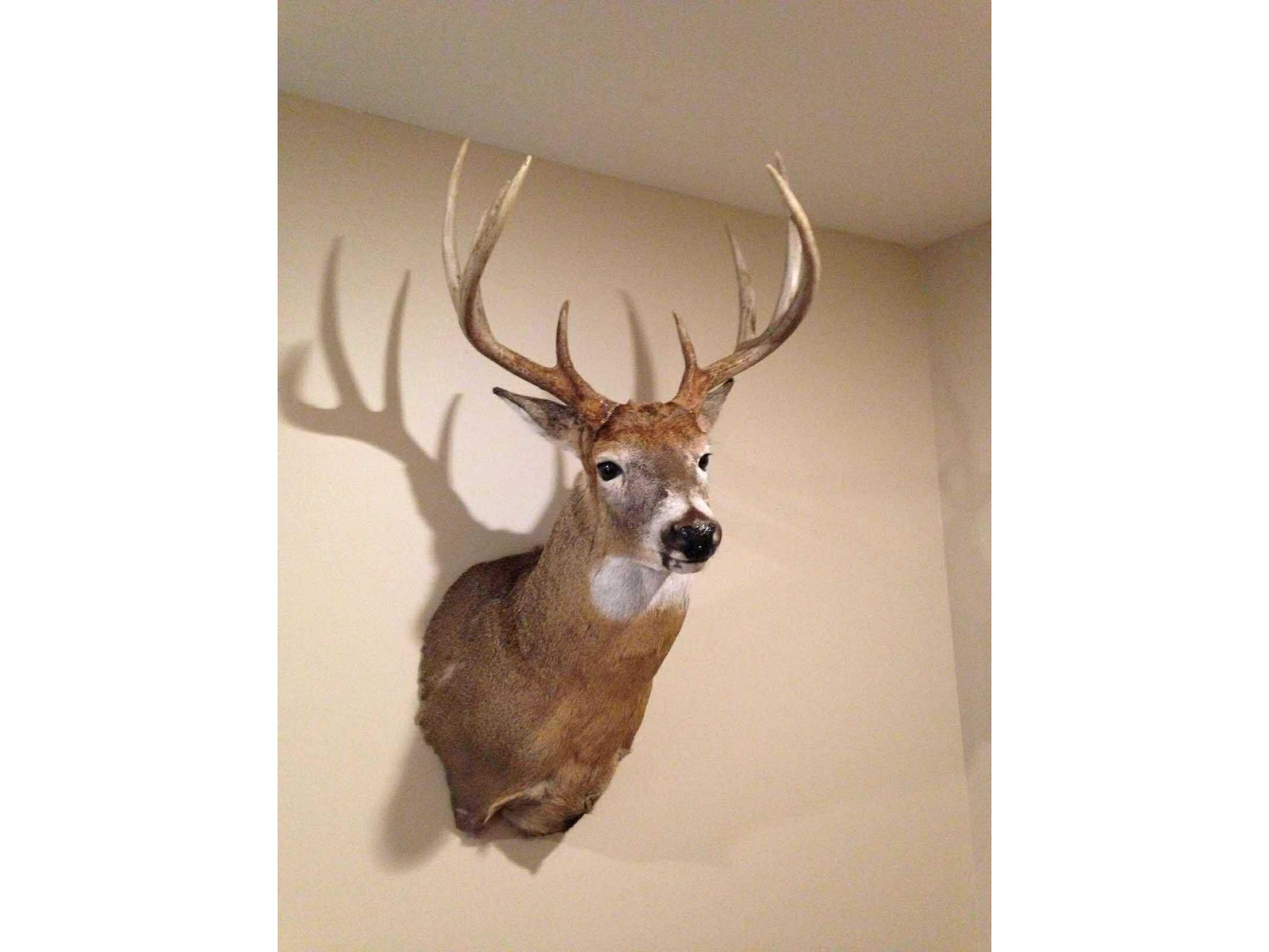 000 Drake Henrietta WI 53924 - Soules Creek 1929744 image14