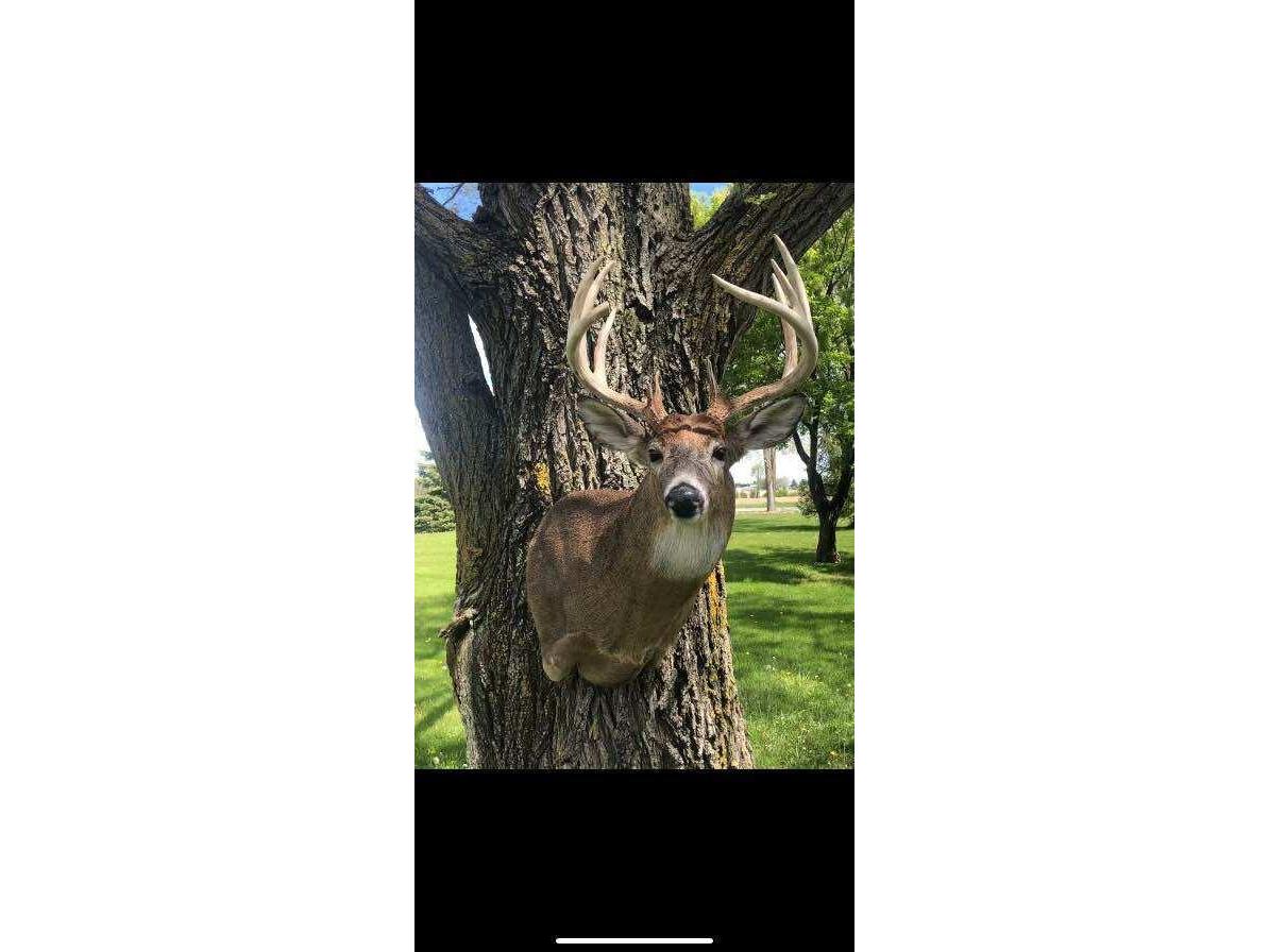 000 Drake Henrietta WI 53924 - Soules Creek 1929744 image15