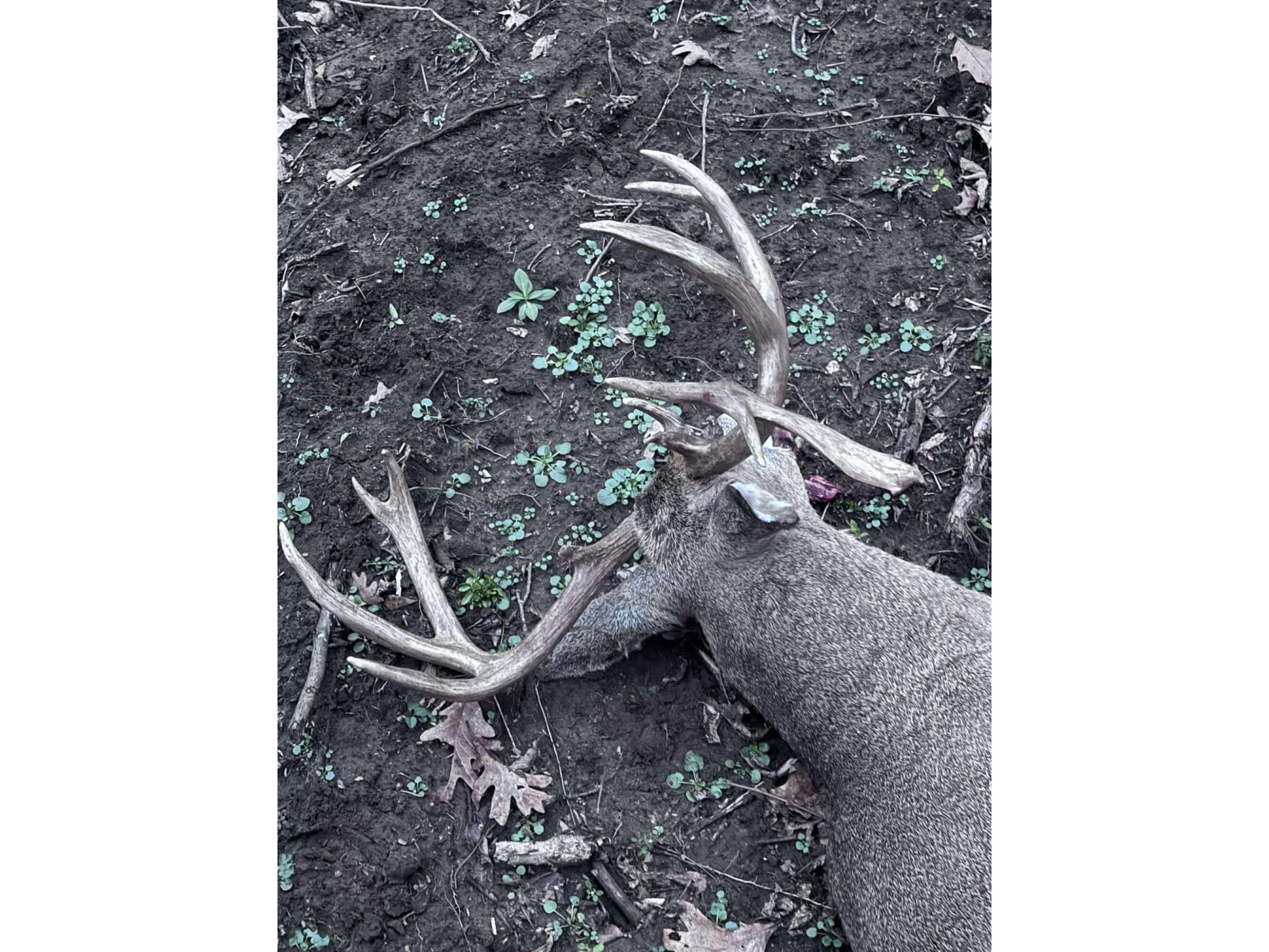 000 Drake Henrietta WI 53924 - Soules Creek 1929744 image16