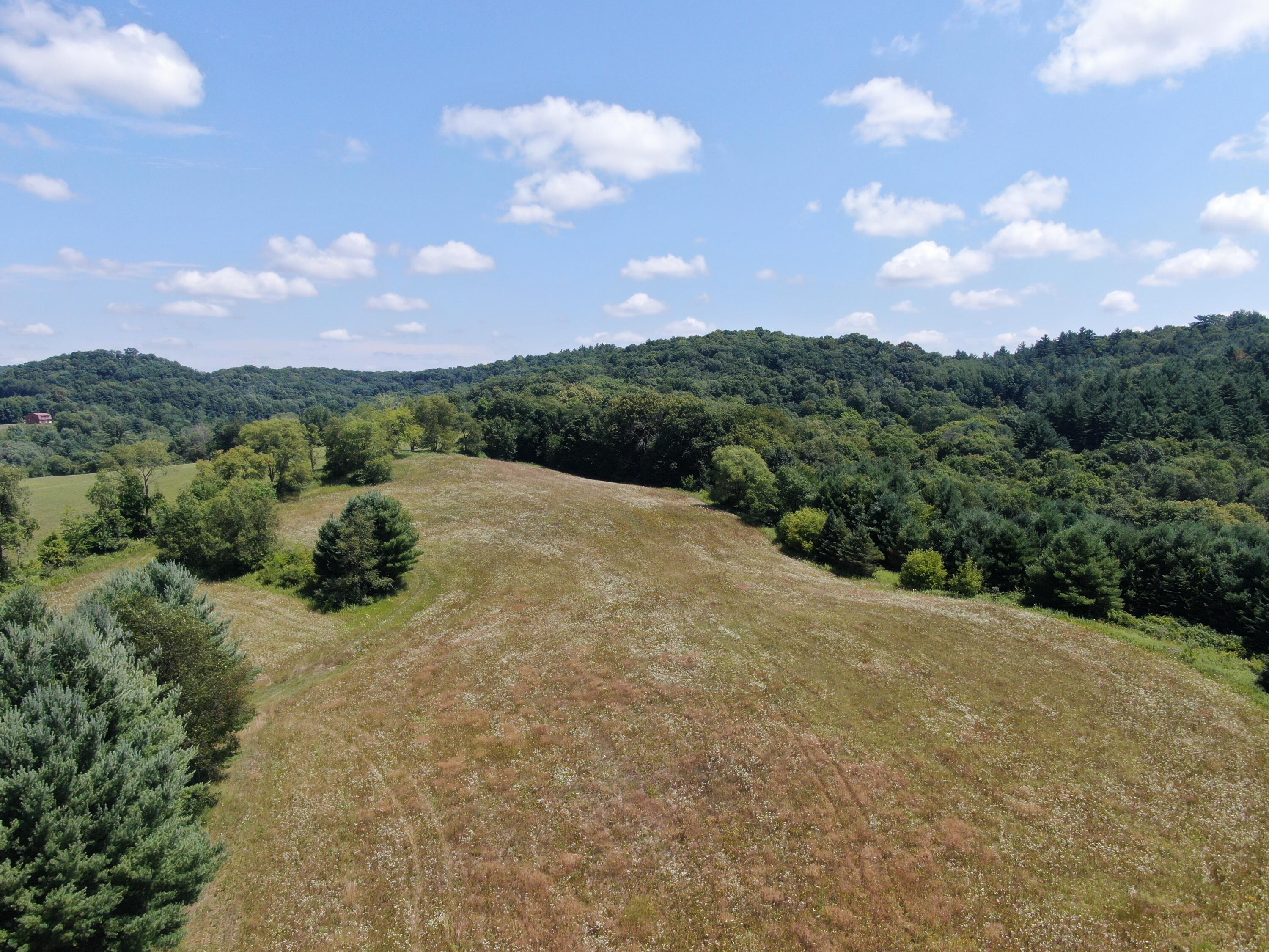 000 Drake Henrietta WI 53924 - Soules Creek 1929744 image4