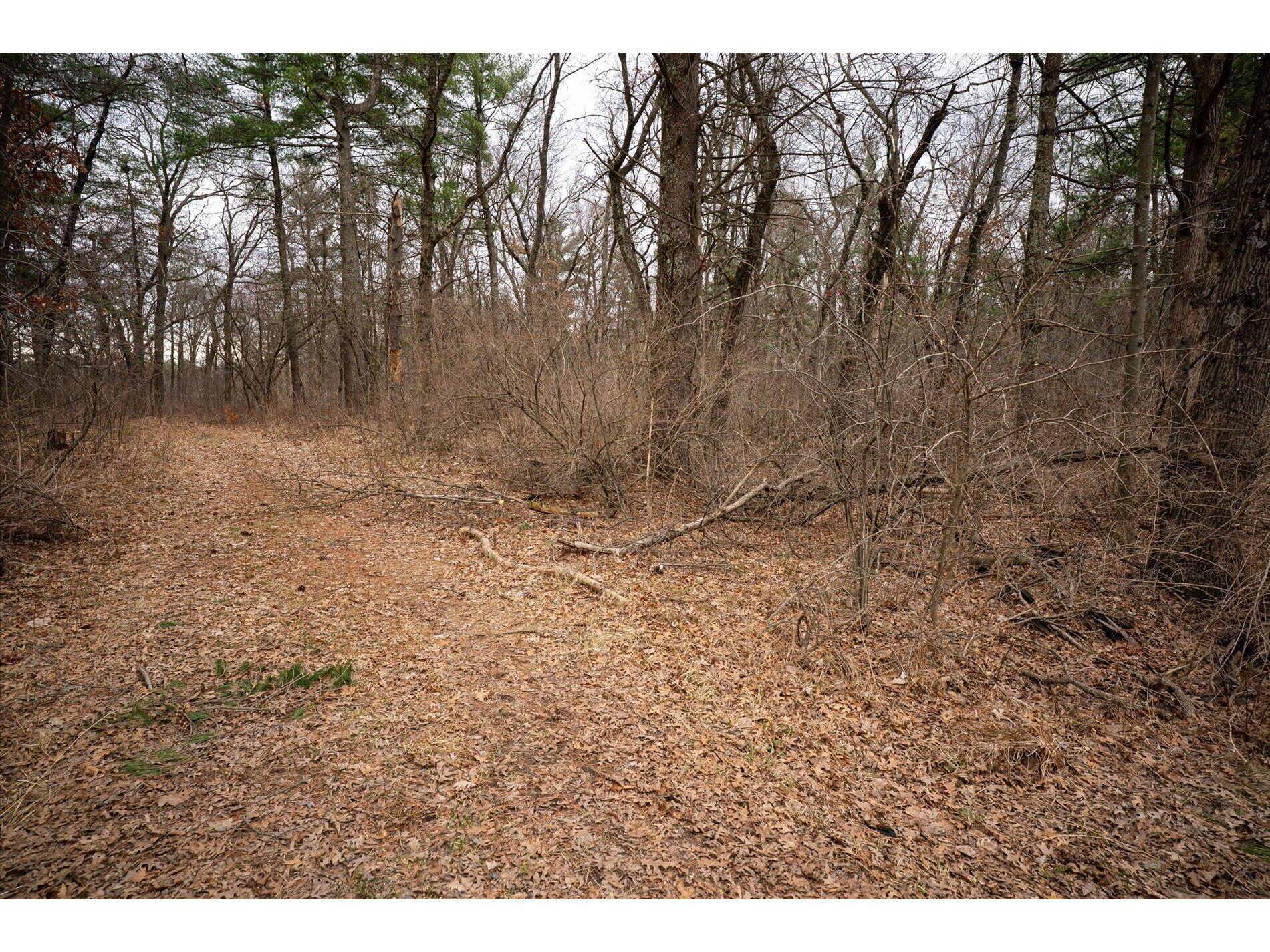 000 Franklin Black River Falls WI 54615 1957107 image13