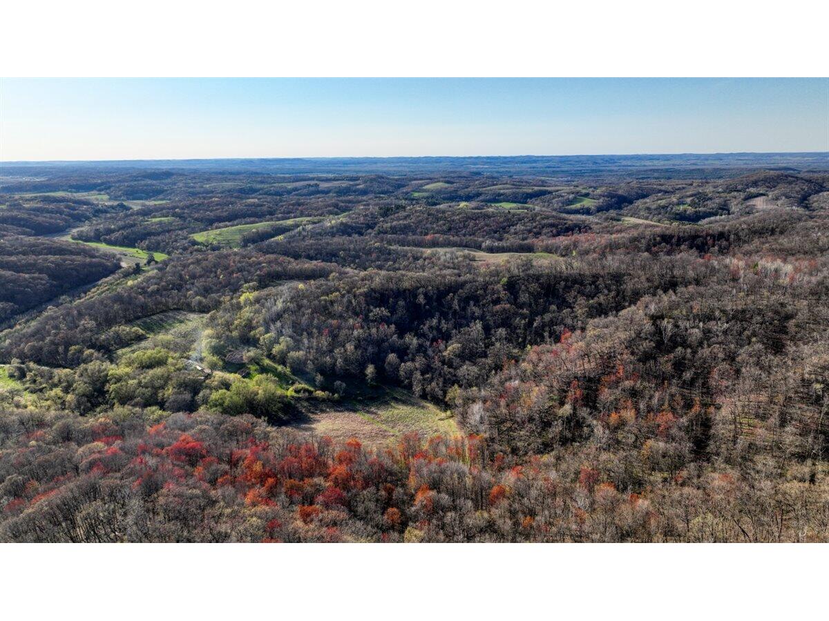 000 H Olson Farmington WI 54644 1916728 image1