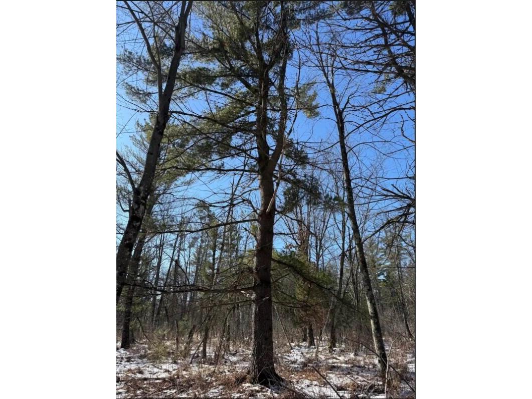 000 Hawk Adrian WI 54656 1953499 image10