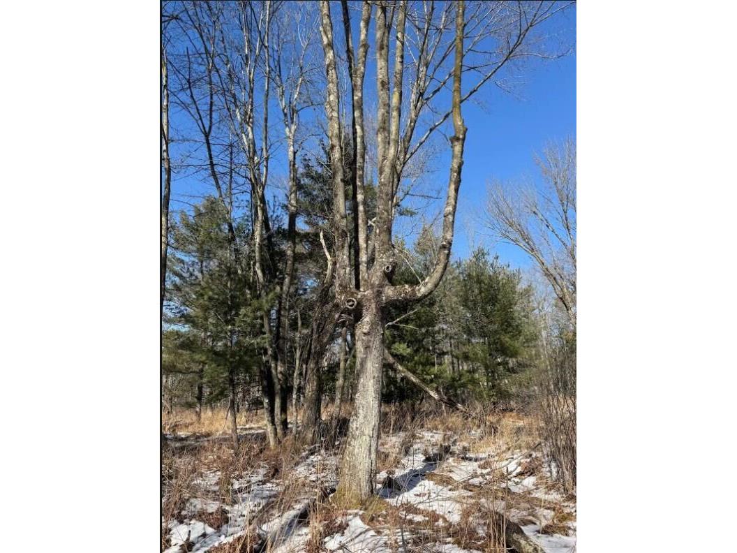 000 Hawk Adrian WI 54656 1953499 image11