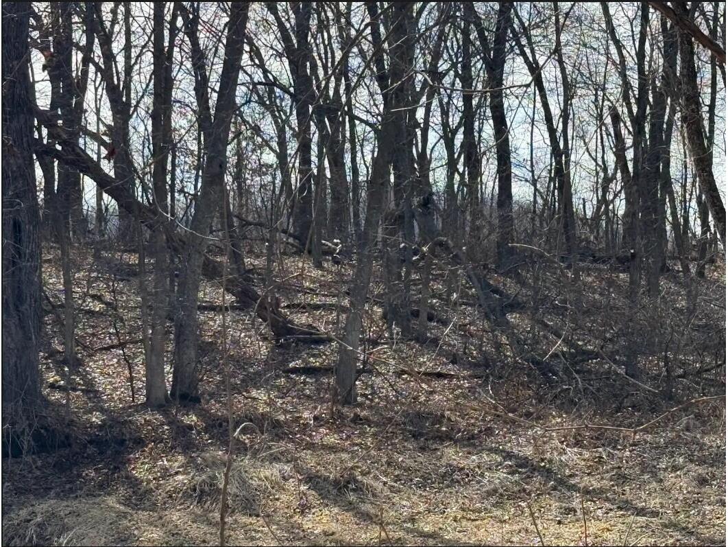 000 Hawk Adrian WI 54656 1953499 image13