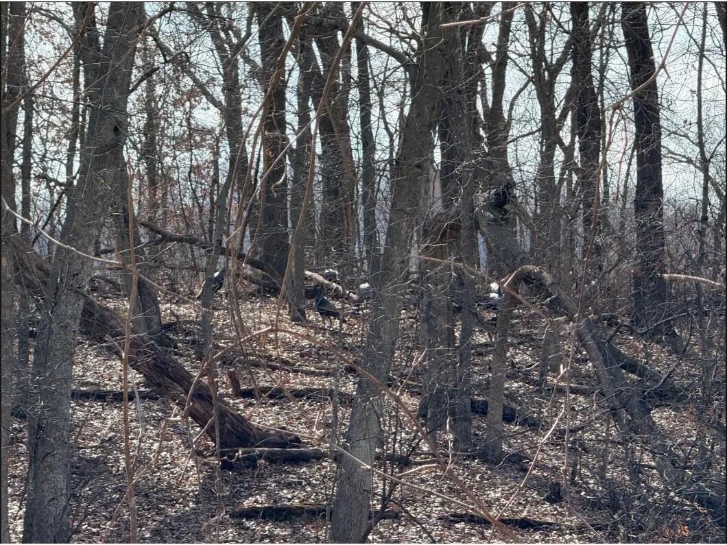 000 Hawk Adrian WI 54656 1953499 image14