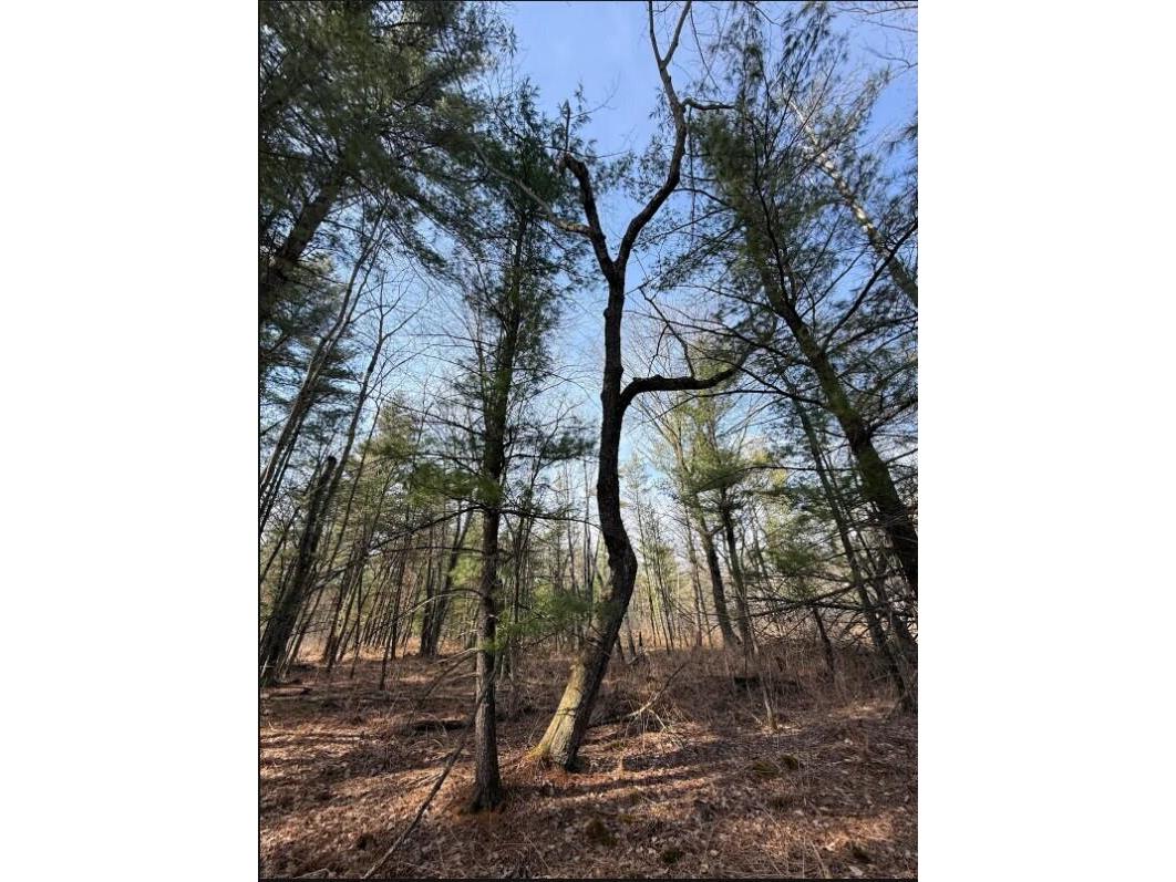 000 Hawk Adrian WI 54656 1953499 image15