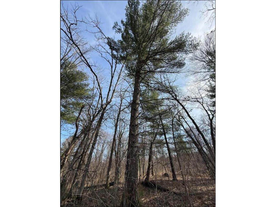 000 Hawk Adrian WI 54656 1953499 image16