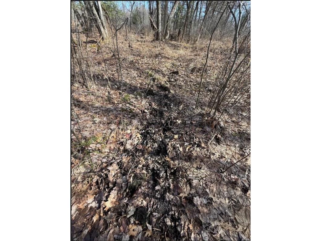 000 Hawk Adrian WI 54656 1953499 image19