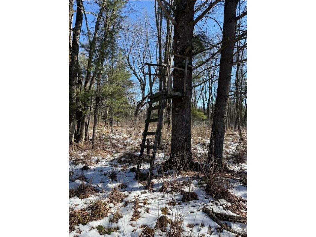 000 Hawk Adrian WI 54656 1953499 image20