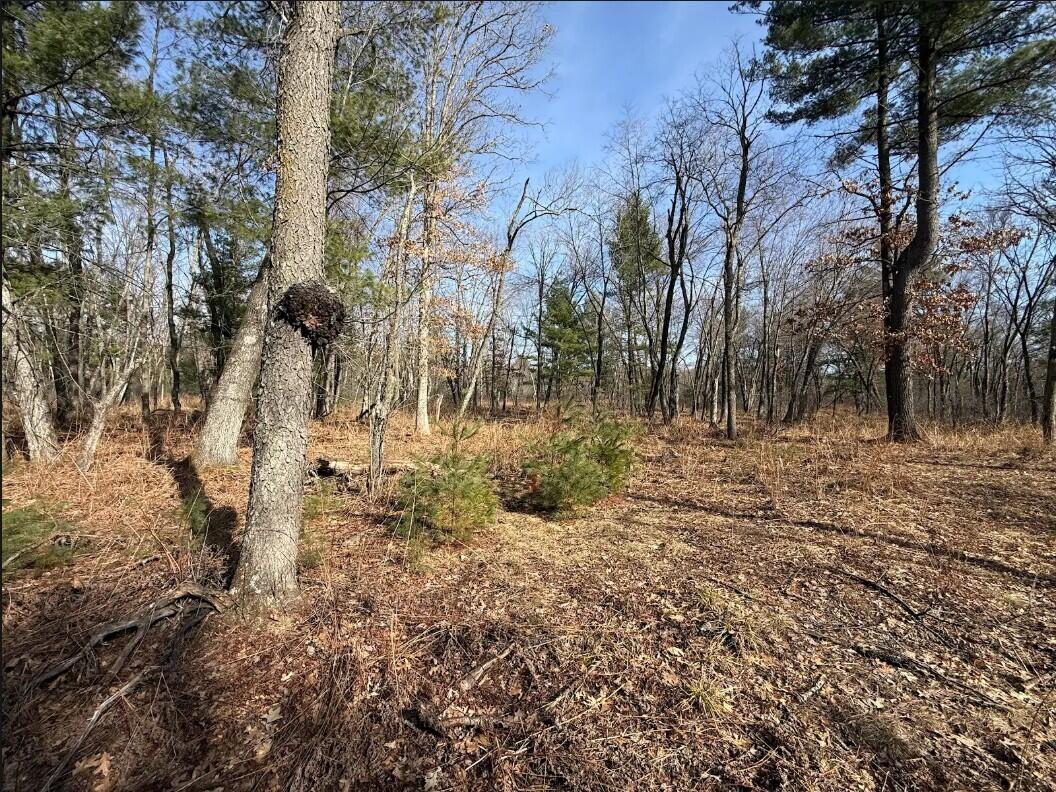 000 Hawk Adrian WI 54656 1953499 image24