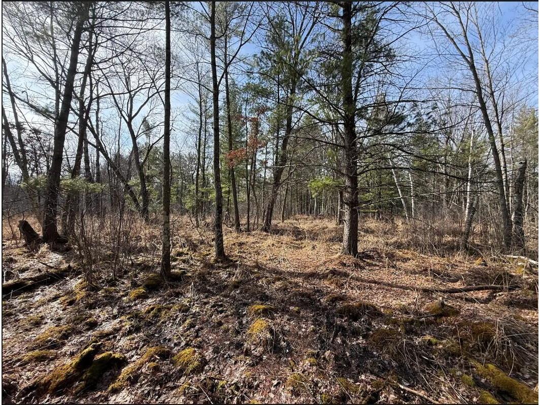 000 Hawk Adrian WI 54656 1953499 image25