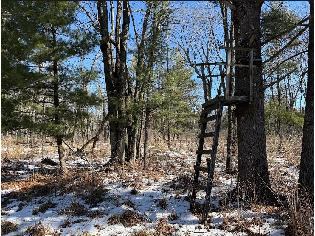 000 Hawk Adrian WI 54656 1953499 image5