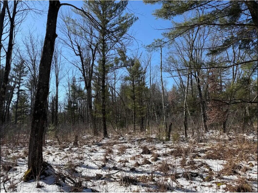 000 Hawk Adrian WI 54656 1953499 image6