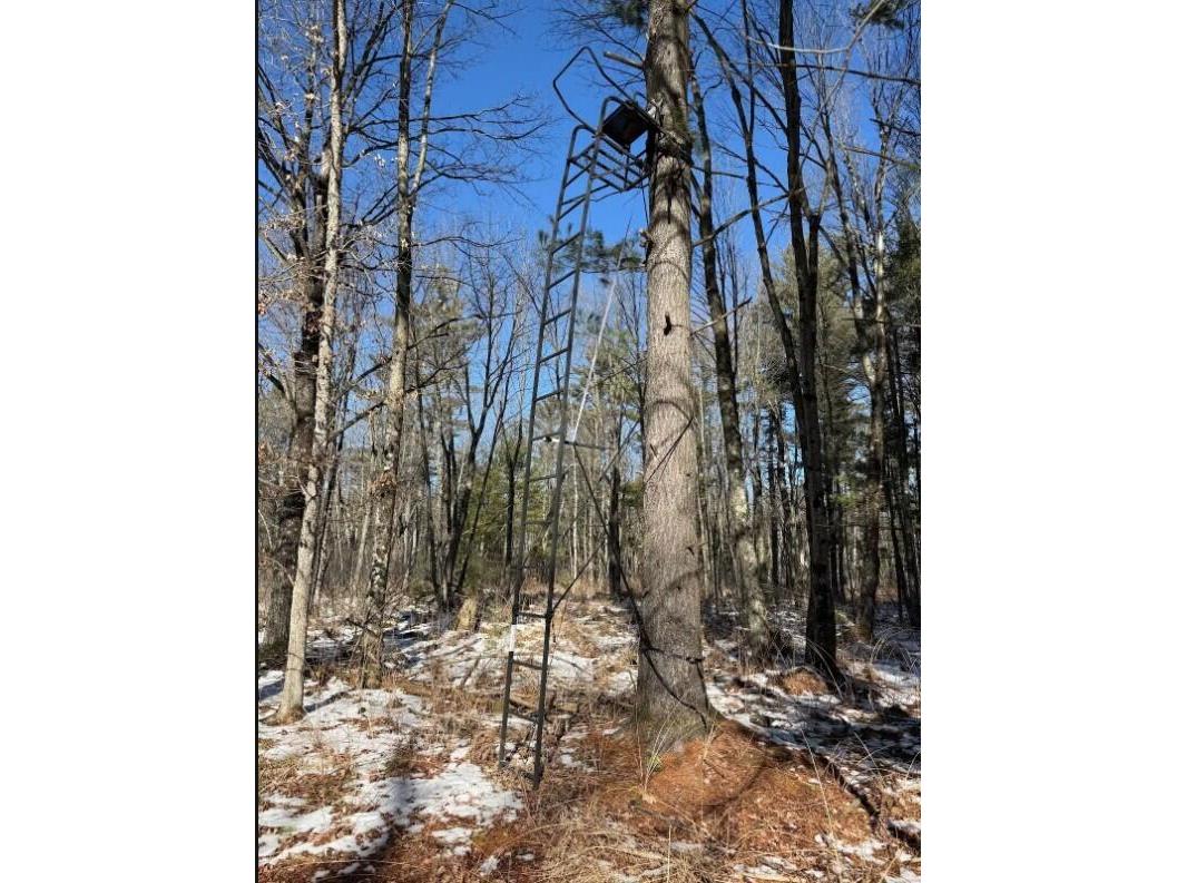 000 Hawk Adrian WI 54656 1953499 image7