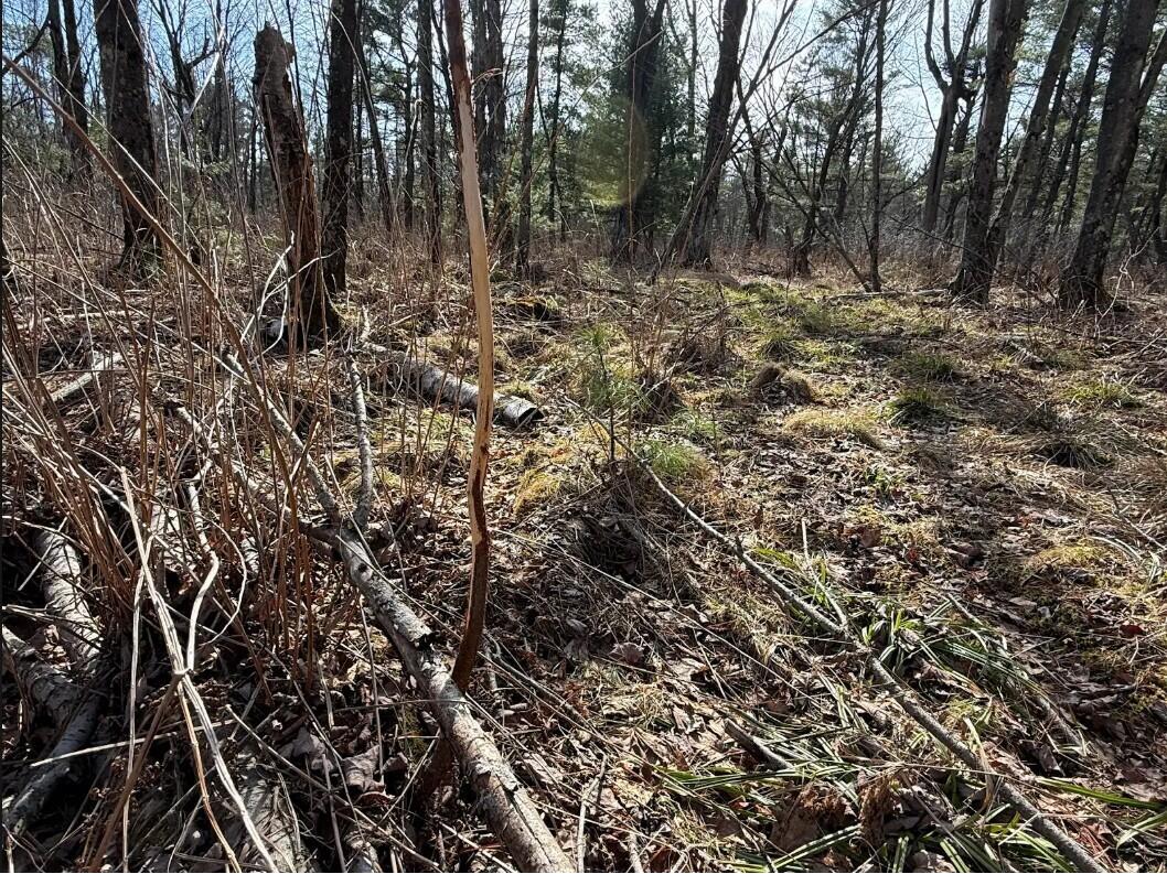 000 Hawk Adrian WI 54656 1953499 image8