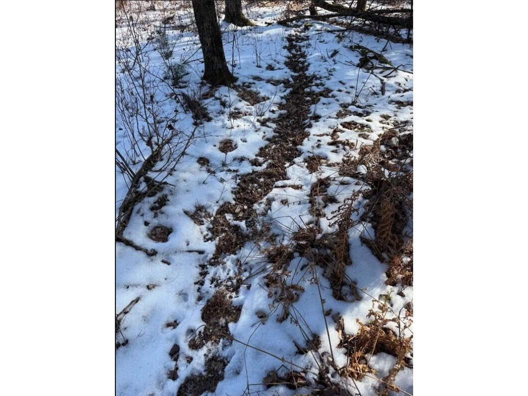 000 Hawk Adrian WI 54656 1953499 image9