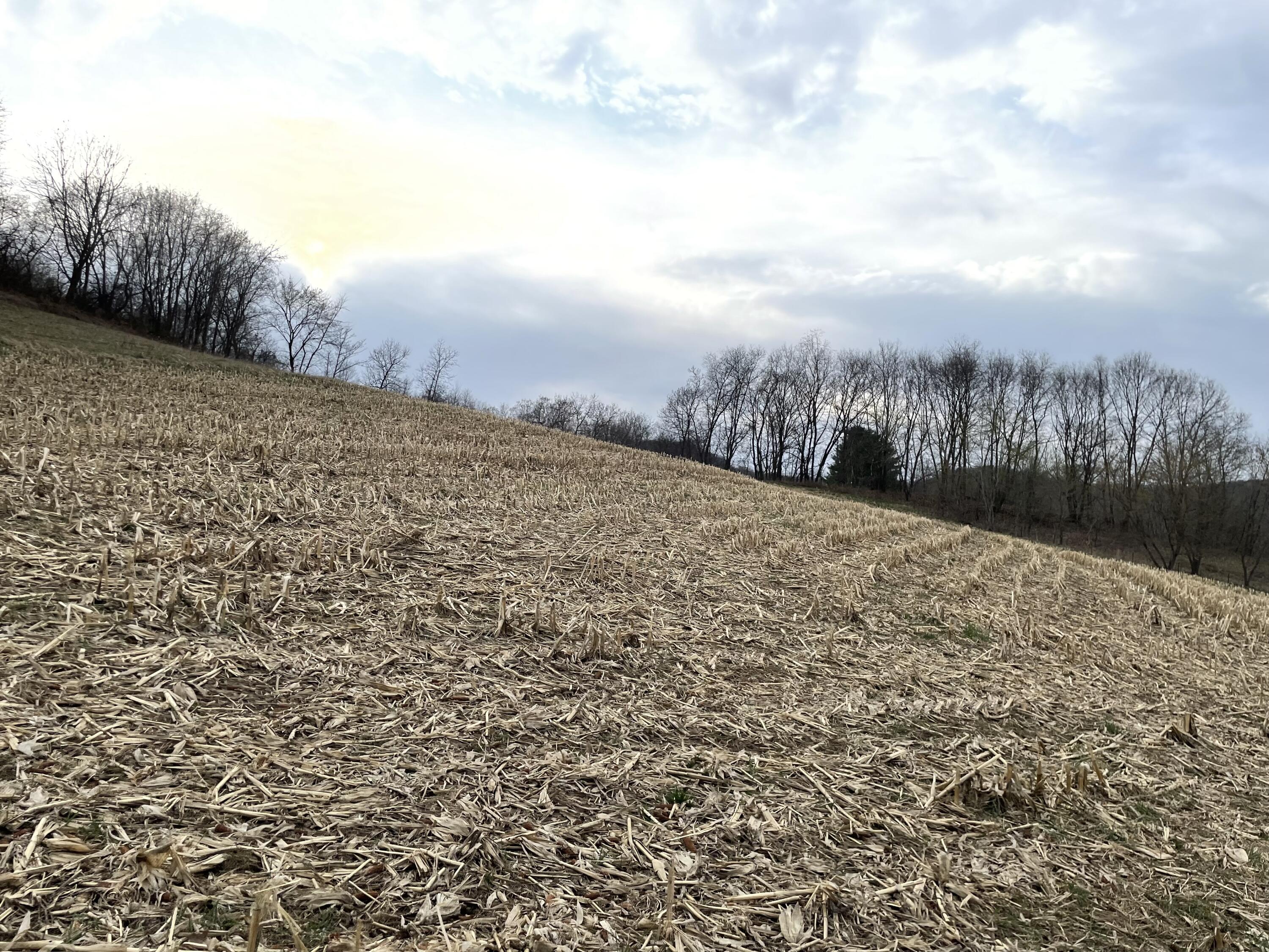 000 Johnson Coulee Burns WI 54614 1831365 image1