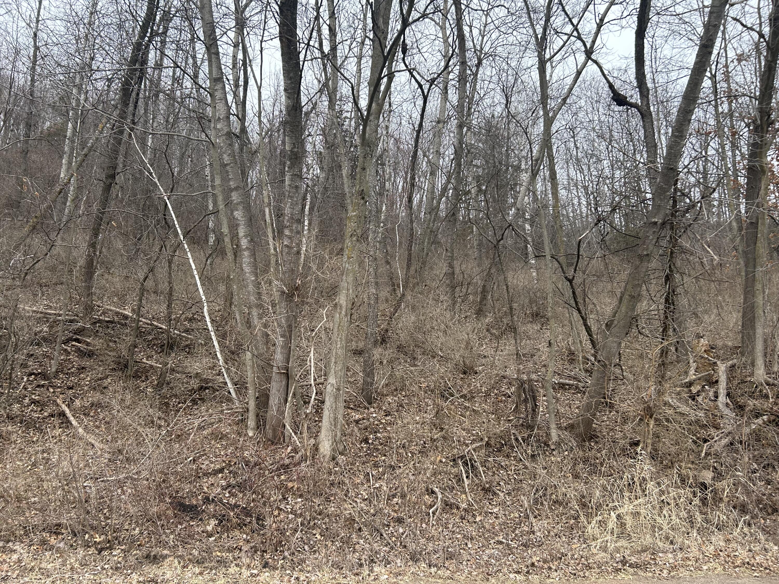 000 Smith Valley Medary WI 54601 1913404 image1