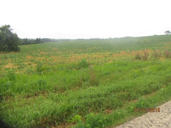 0000 Belgium Ridge Viroqua WI 54665 1832263 image1