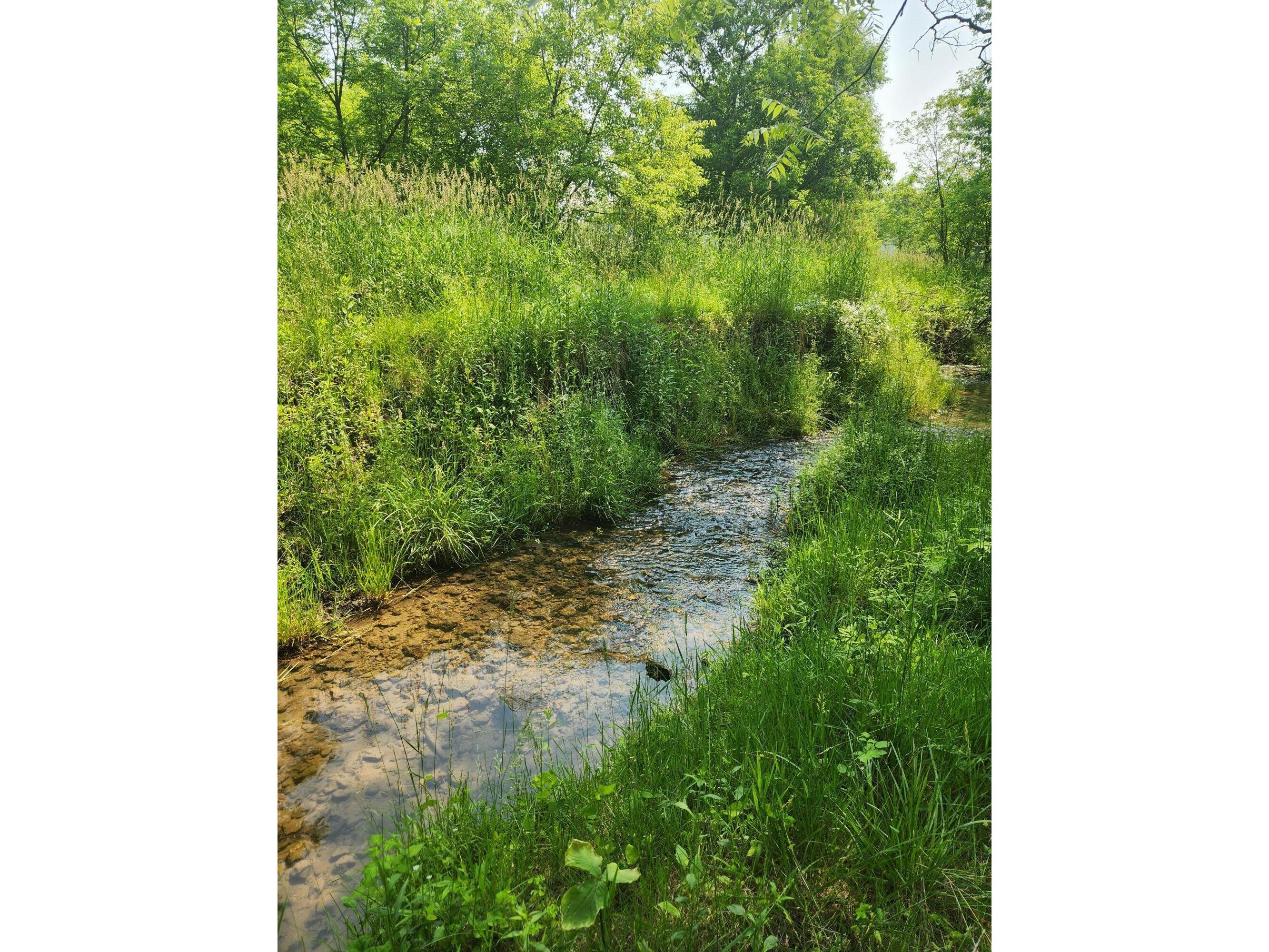 0000 Chadwick Hollow, Liberty, WI, 54664 MLS 1840920 Edina Realty