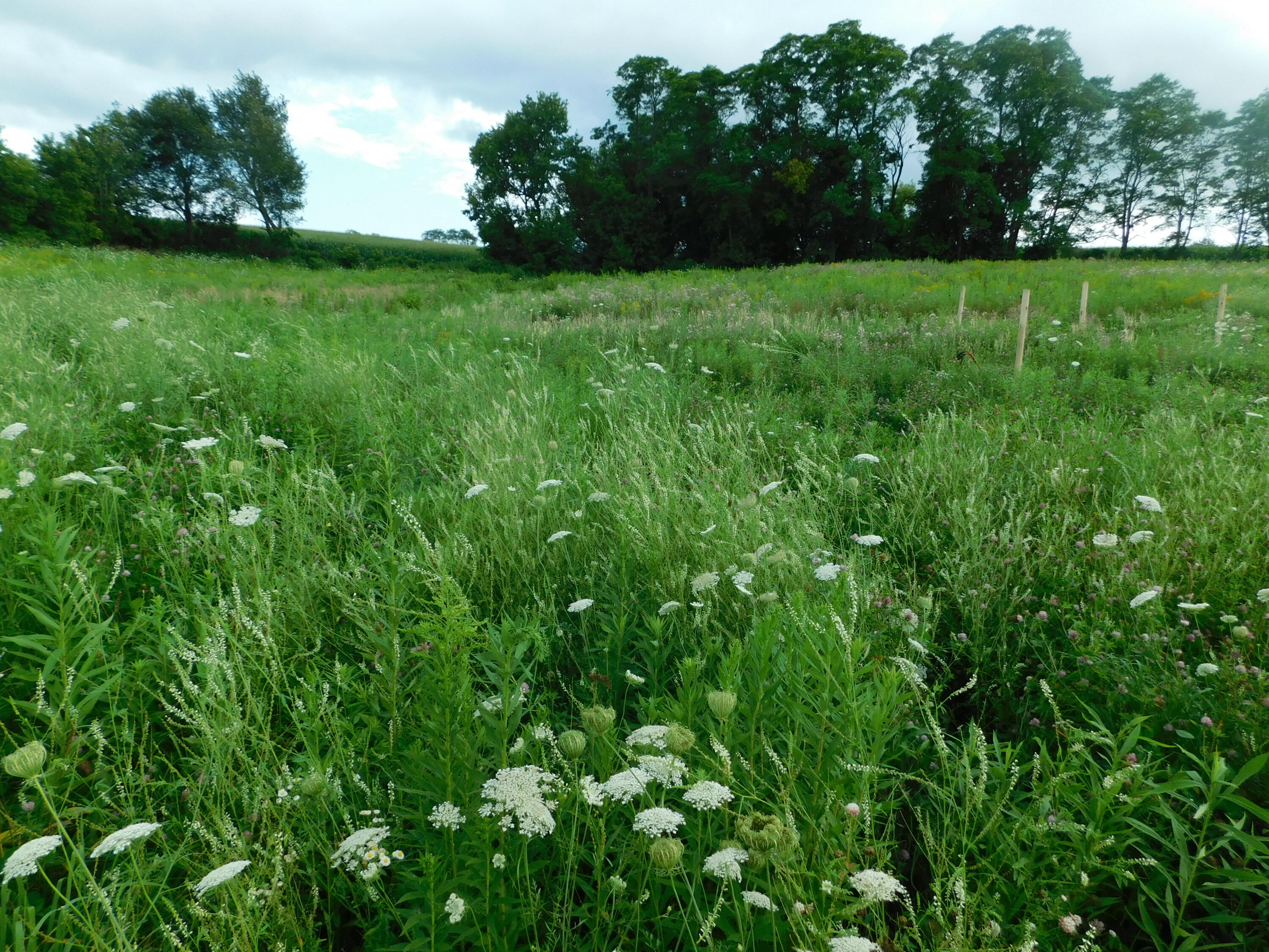 0000 Rolling Hills Rd Jefferson WI 54665 1886076 image1