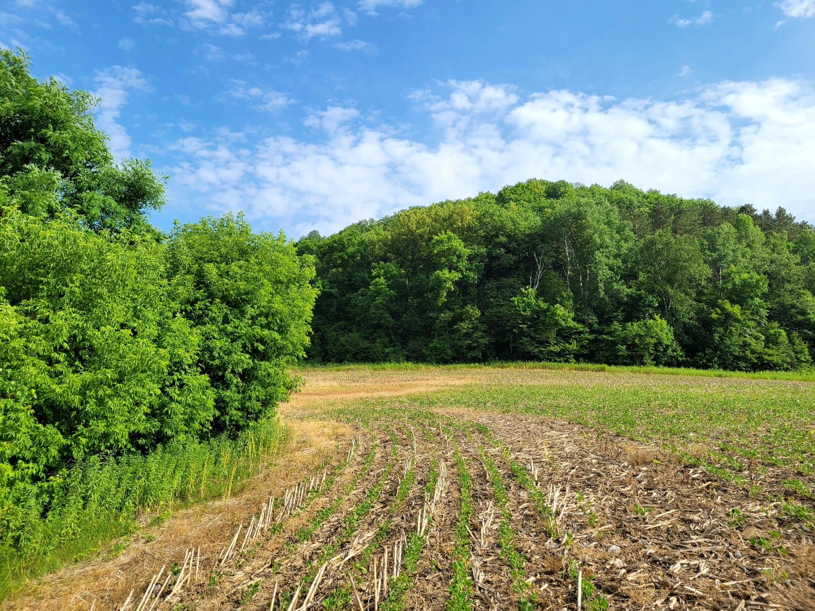 0000 STATE HWY 131 Clayton WI 54631 1840759 image1