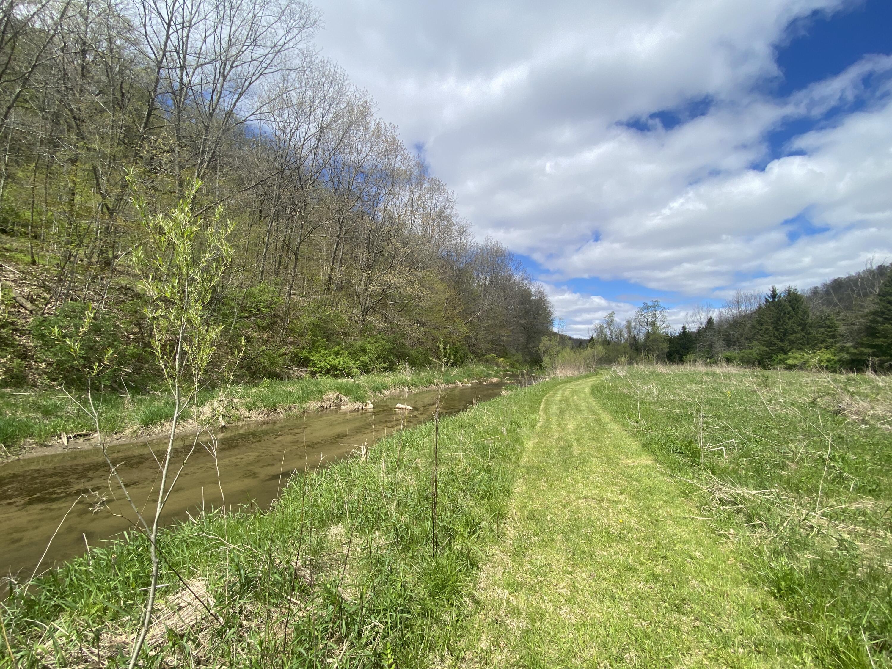 0000 US Hwy 14 Kickapoo WI 54652 - Read Creek 1961577 image9