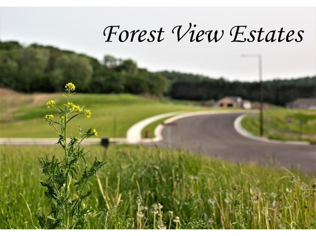 1009 Valley View Holmen WI 54636 1645276 image1