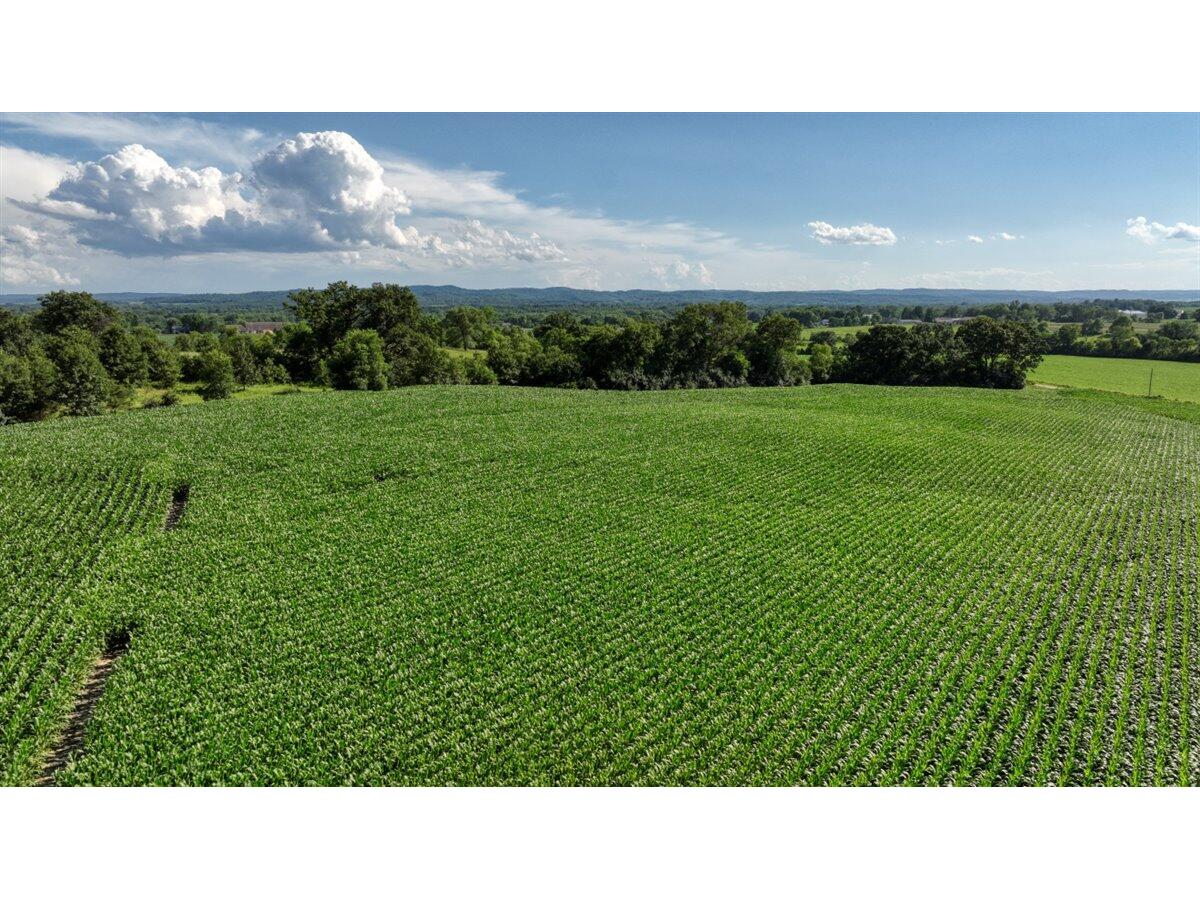 0 Hammer Sparta WI 54656 1926074 image11