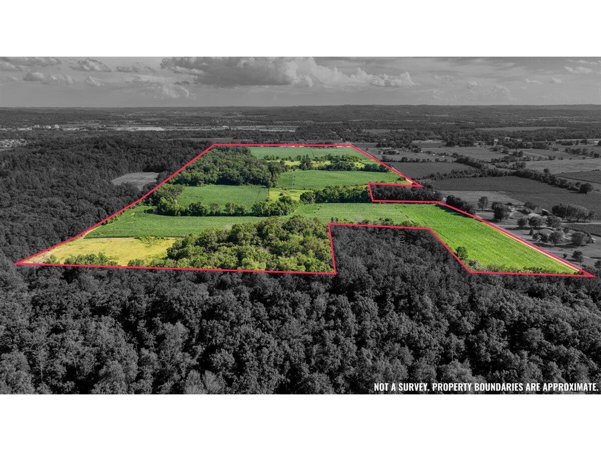 0 Hammer Sparta WI 54656 1926074 image2