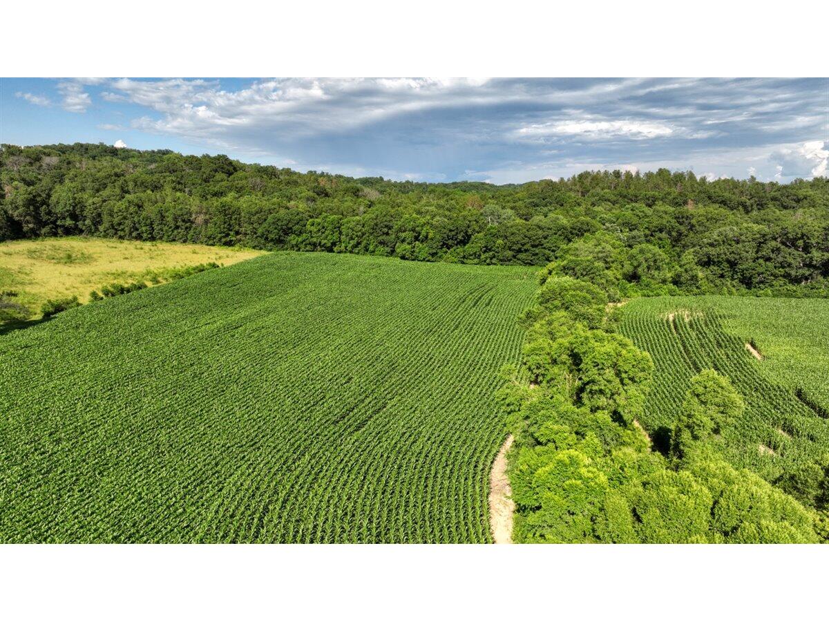 0 Hammer Sparta WI 54656 1926074 image25