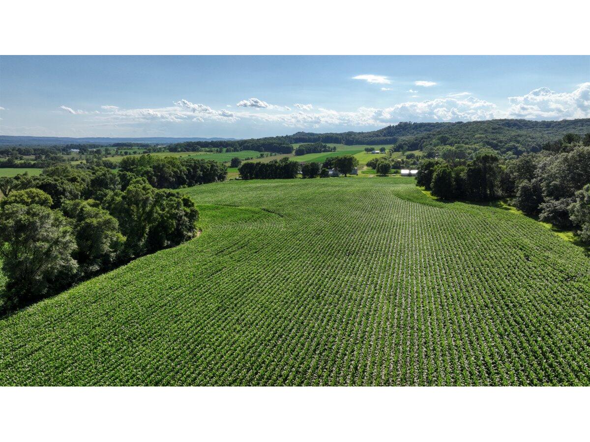 0 Hammer Sparta WI 54656 1926074 image29