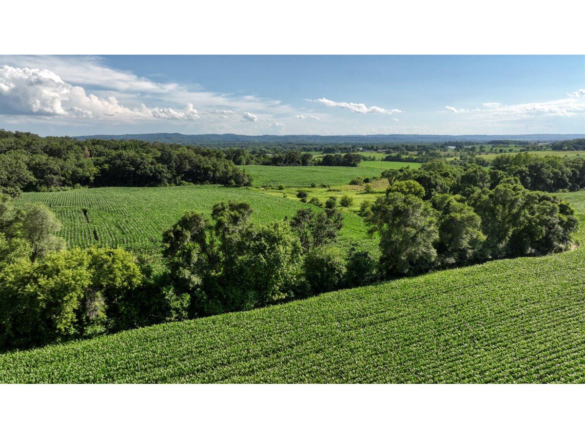 0 Hammer Sparta WI 54656 1926074 image30