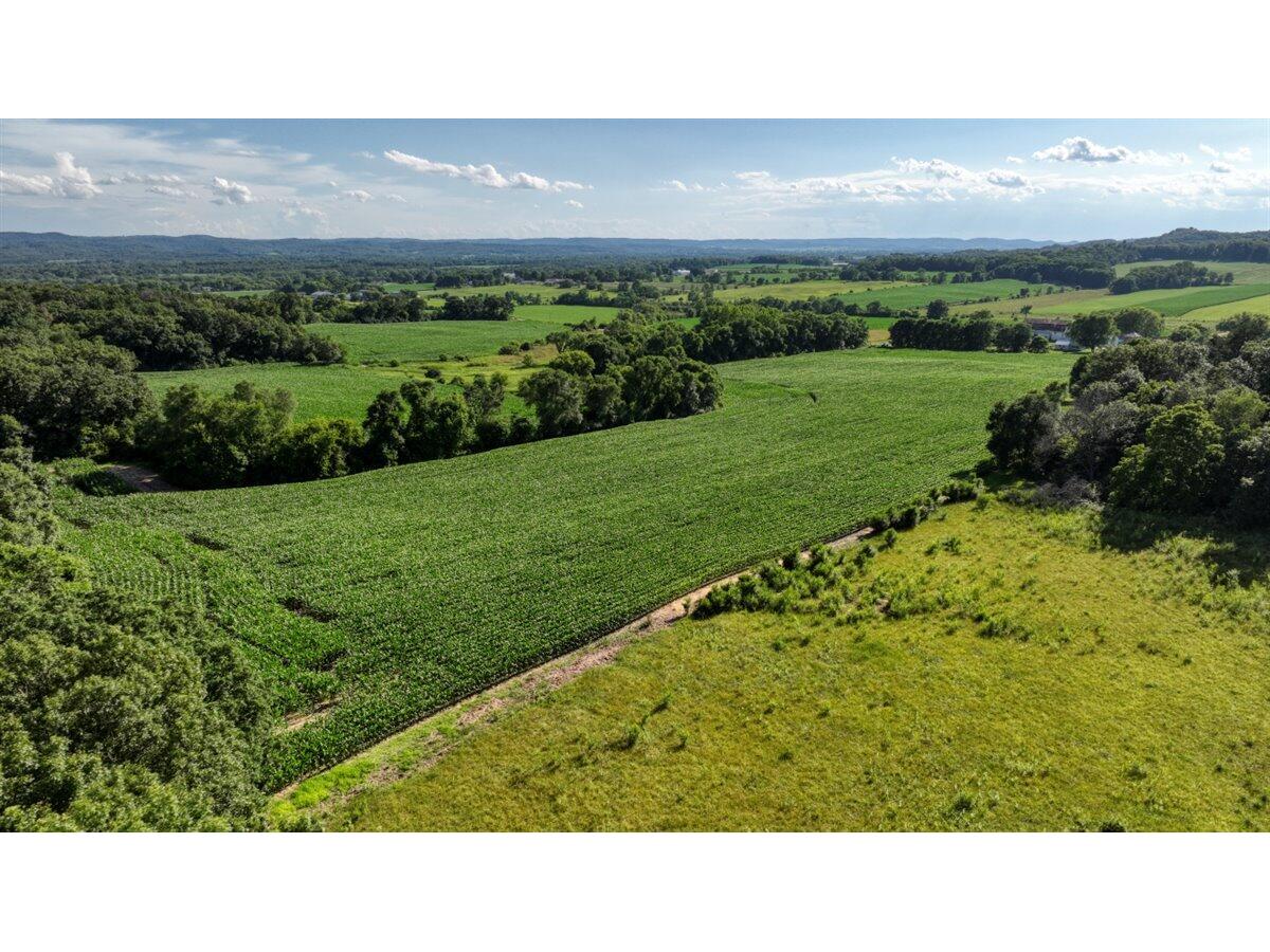 0 Hammer Sparta WI 54656 1926074 image31