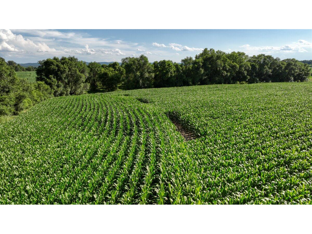 0 Hammer Sparta WI 54656 1926074 image37