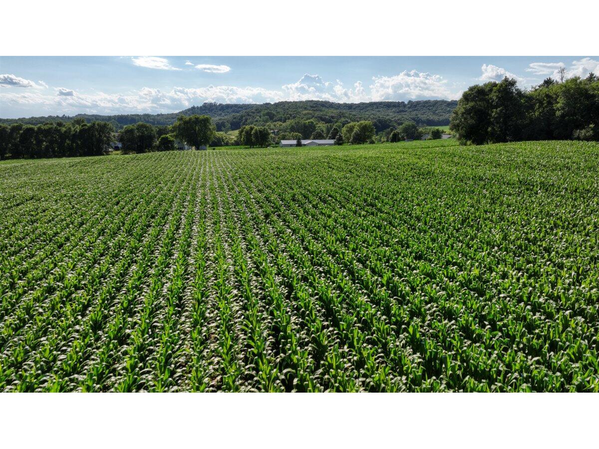 0 Hammer Sparta WI 54656 1926074 image38