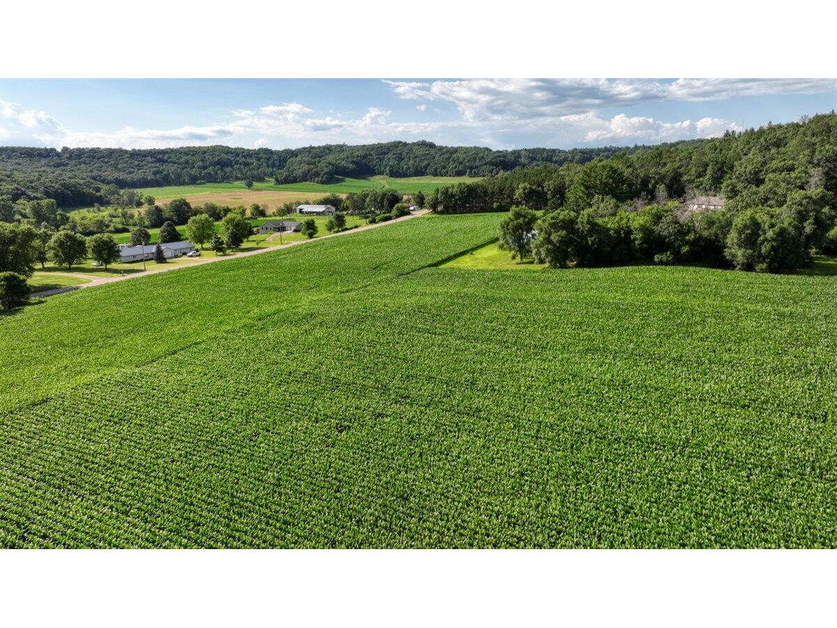 0 Hammer Sparta WI 54656 1926074 image4