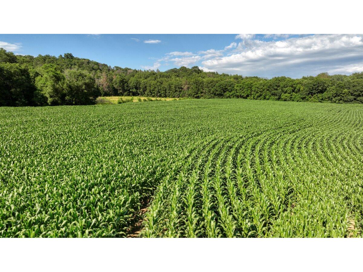 0 Hammer Sparta WI 54656 1926074 image40