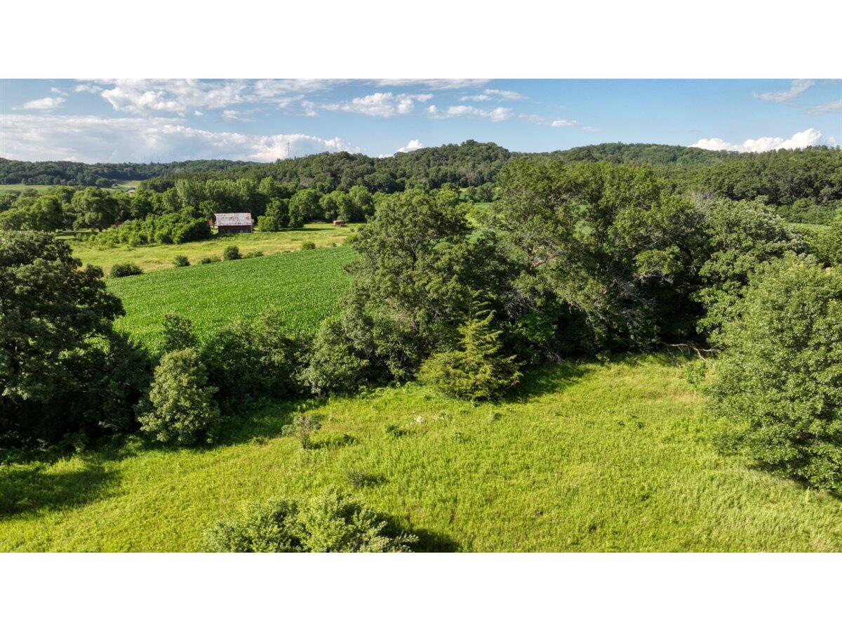 0 Hammer Sparta WI 54656 1926074 image44