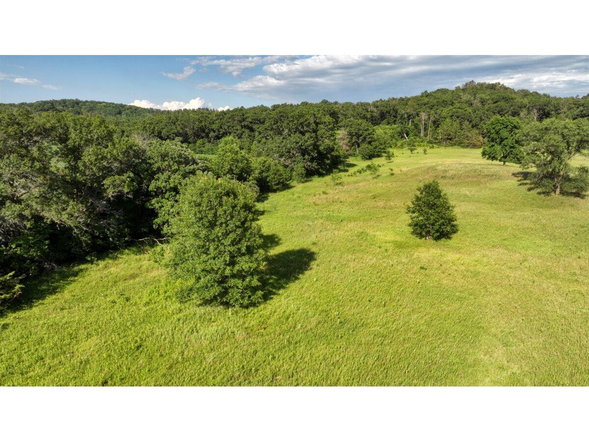 0 Hammer Sparta WI 54656 1926074 image45