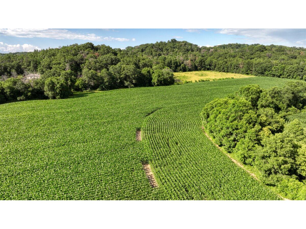 0 Hammer Sparta WI 54656 1926074 image5