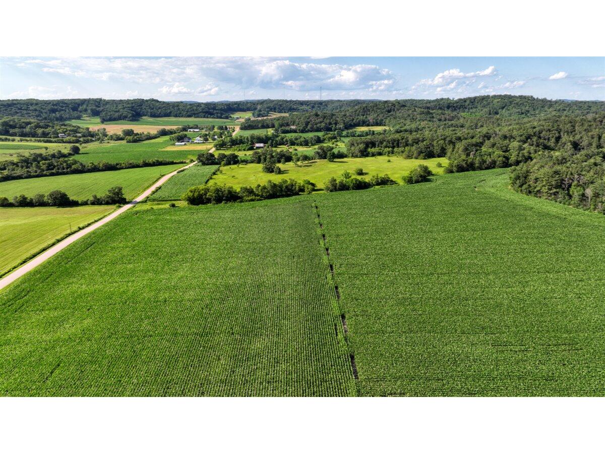 0 Hammer Sparta WI 54656 1926074 image52