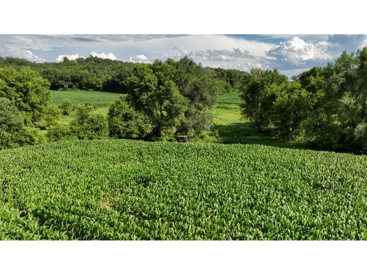 0 Hammer Sparta WI 54656 1926074 image7