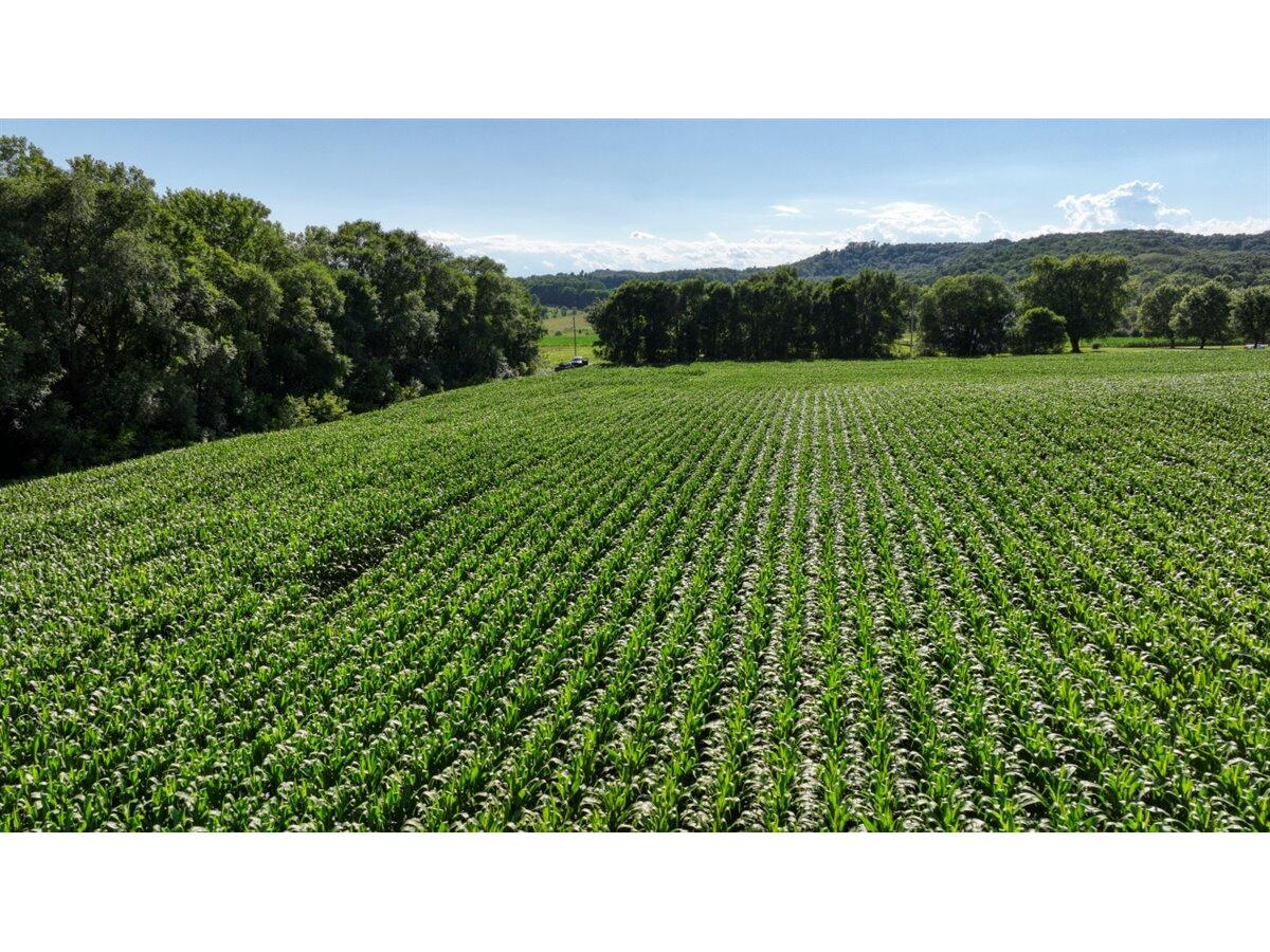 0 Hammer Sparta WI 54656 1926074 image8