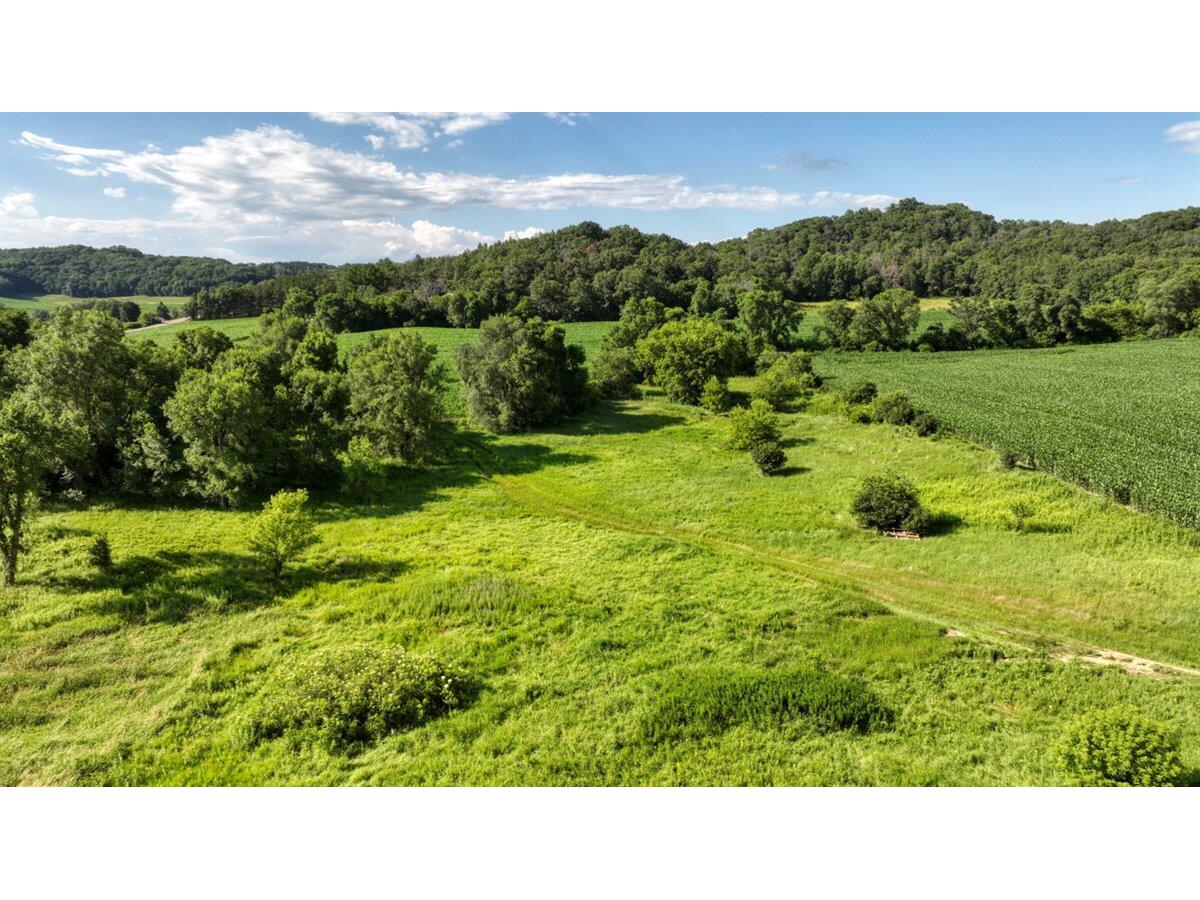 0 Hammer Sparta WI 54656 1926074 image9