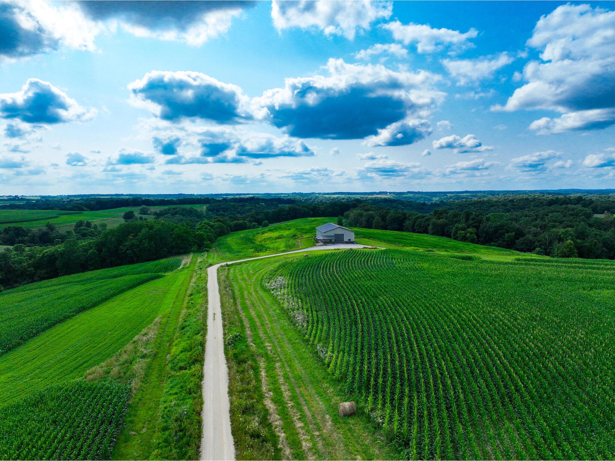 11250 Davy Union MN 55941 1886919 image1