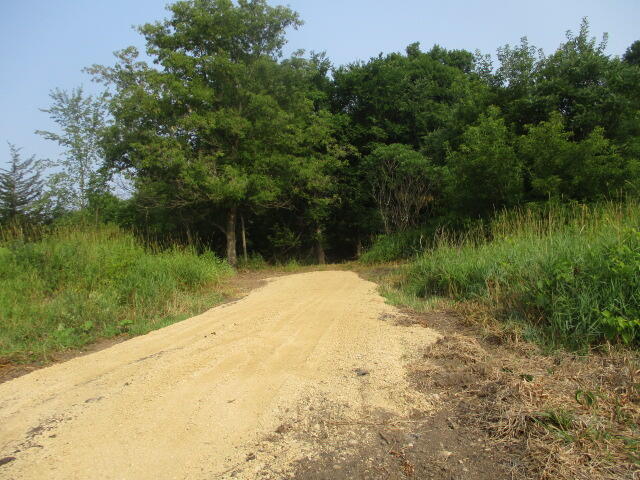 11458 STATE HIGHWAY 131 Forest WI 54664 1831675 image1